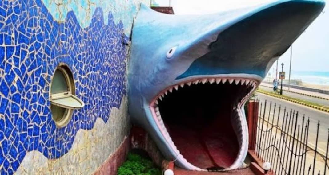 Matsyadarshini Aquarium_5